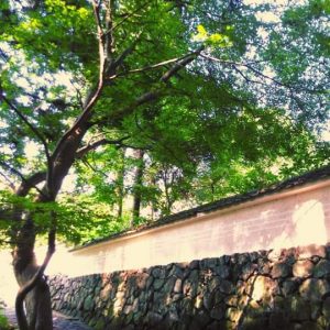 玄賓(げんぴん)庵の塀 桜井市