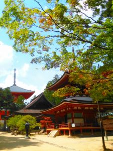 高野山