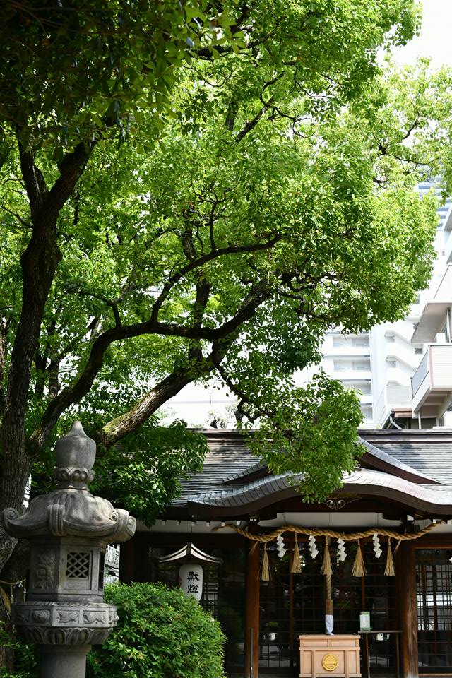 サムハラ神社　写真