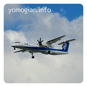 千里川土手からの飛行機の写真