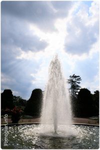 京都府立植物園の写真　噴水