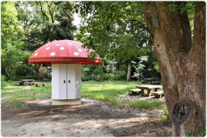 京都府立植物園の写真　きのこ文庫