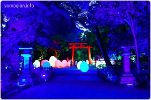 下鴨神社 糺の森の光の祭の写真｜2019