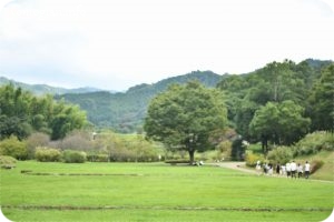 明日香村散策と曼珠沙華の写真（133）