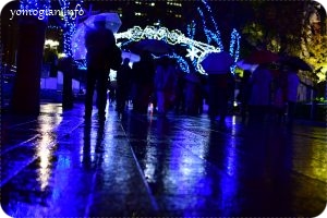 雨の日曜に中之島公園でやっているOSAKA光のルネサンスへ！