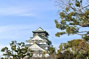 大阪城の梅林と難波宮跡公園の写真