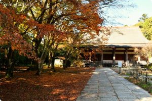 観心寺の紅葉の写真