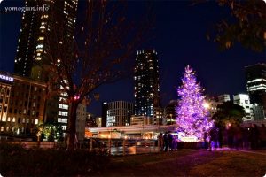 OSAKA光のルネサンス2019の写真　クリスマスツリー