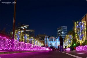 OSAKA光のルネサンス2019の写真　中央公会堂
