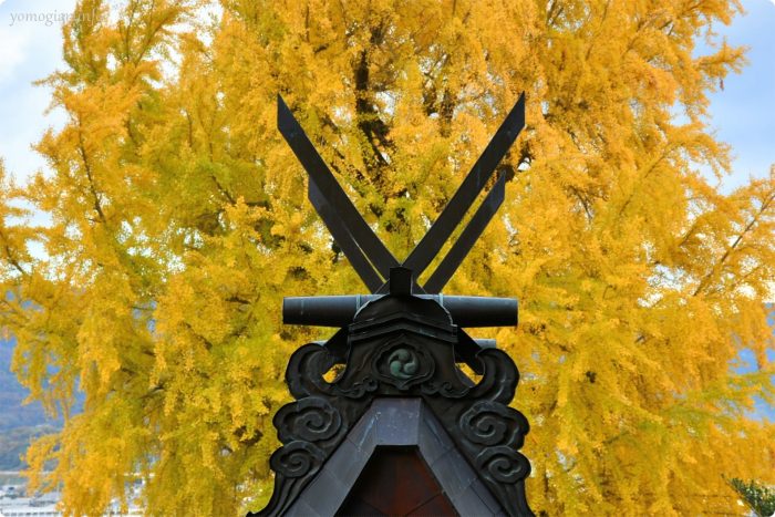 丹生酒殿神社の大銀杏の写真、画像