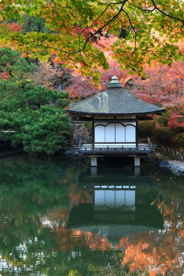 和歌山の西之丸庭園（紅葉渓庭園）の紅葉写真、画像