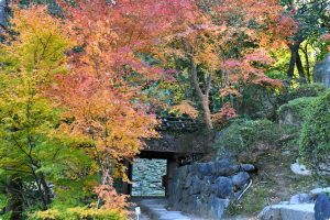 和歌山の西之丸庭園（紅葉渓庭園）の紅葉写真、画像