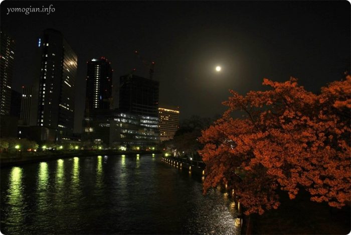 大阪城　桜　写真　夜
