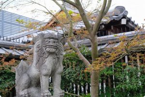 晴明神社の狛犬さん