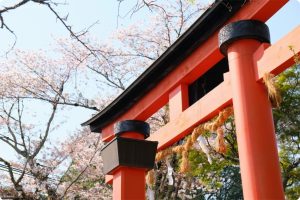 丹生官省符神社（にうかんしょうふじんじゃ）の桜の写真