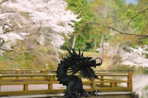 春の高鴨神社の写真　奈良県御所市