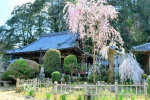 奈良県宇陀市にある大野寺の写真