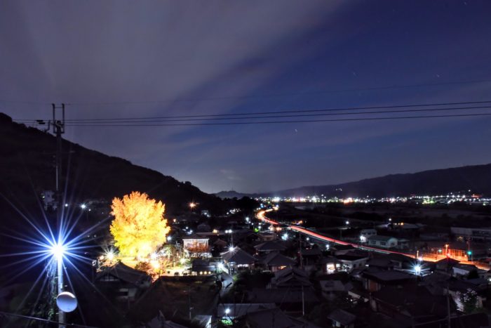丹生酒殿神社のライトアップ　写真