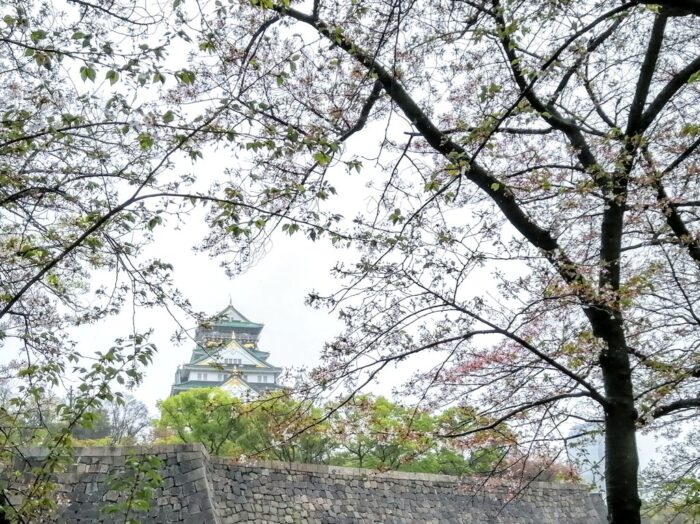 雨の大阪城の写真　画像