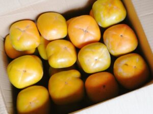 和歌山の柿の写真