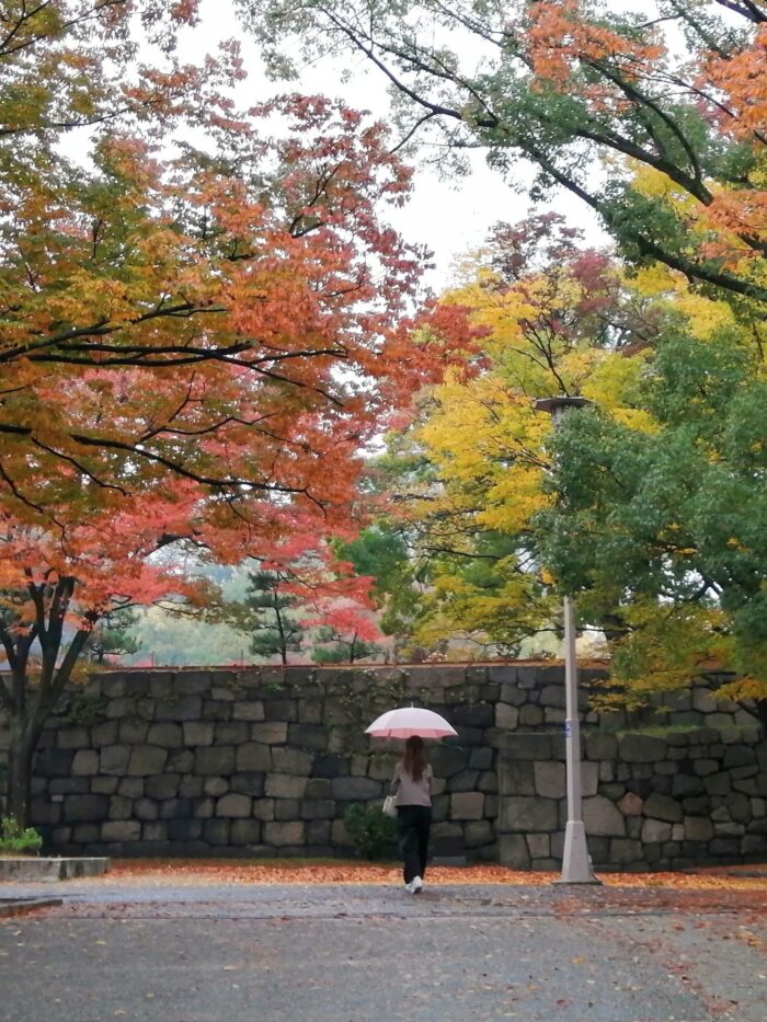 大阪城　雨の紅葉の写真　Photo