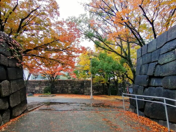 大阪城　雨の紅葉の写真　Photo　綺麗