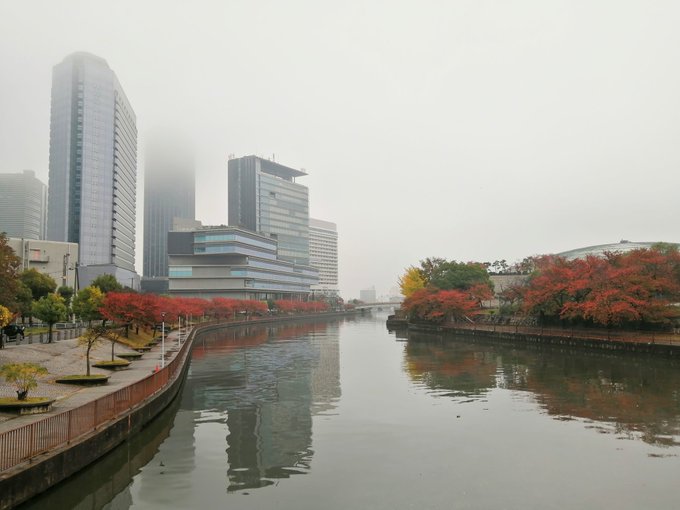 大阪城　雨の紅葉の写真　Photo　赤い並木