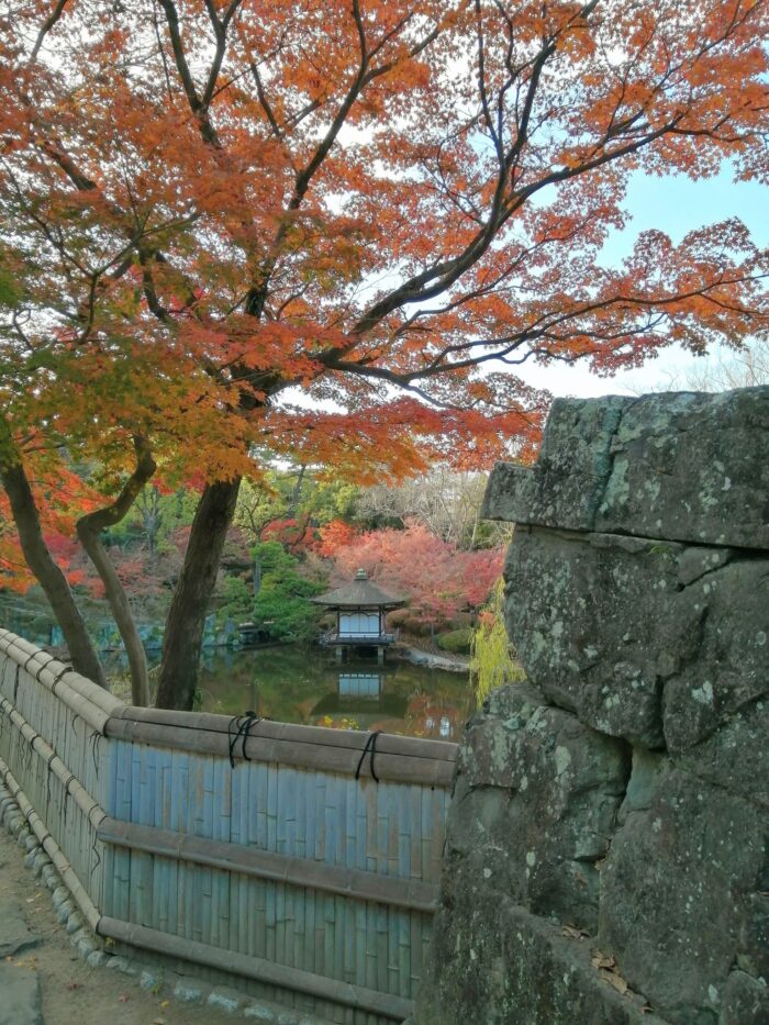 和歌山城の紅葉の写真　庭園