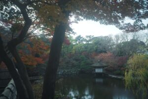 和歌山城の紅葉の写真